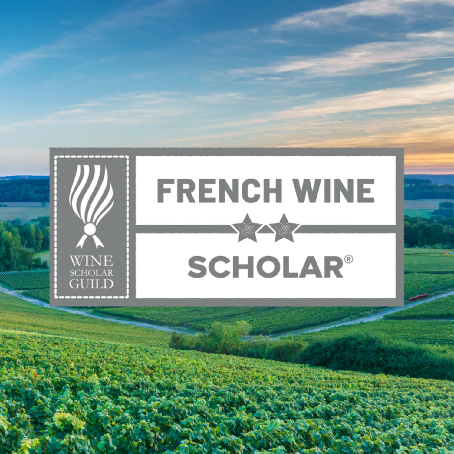 Wine Scholar Program von der Weinschule Krömker KG