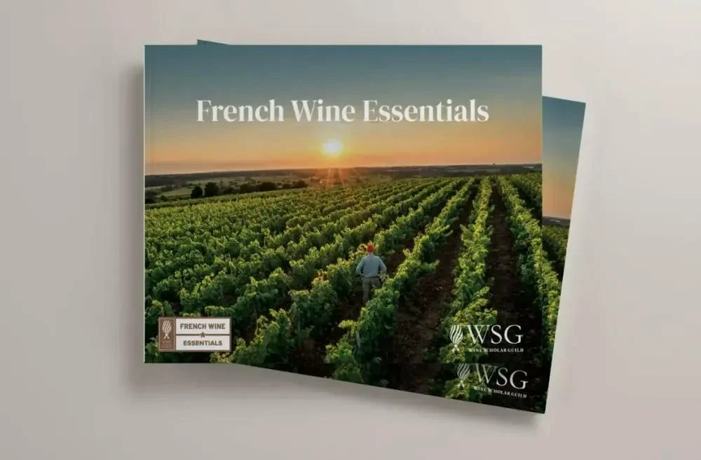 Weinglas von Trauben von Weinschule Krömker KG