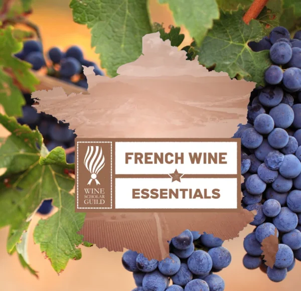 Wein von der Weinschule Krömker KG